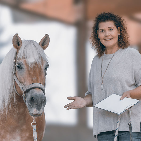 Coaching mit Pferden - wie funktioniert es