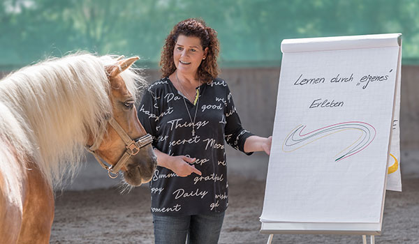 Pferdegestuetztes-Coaching---Lernen-durch-Erleben