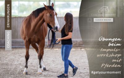 Impulsworkshop “Getyourmoment”: Die Übungen beim Pferdegestützten Coaching